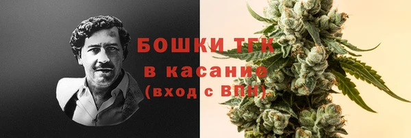 прущий лед Абаза