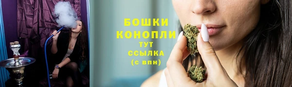 прущий лед Абаза