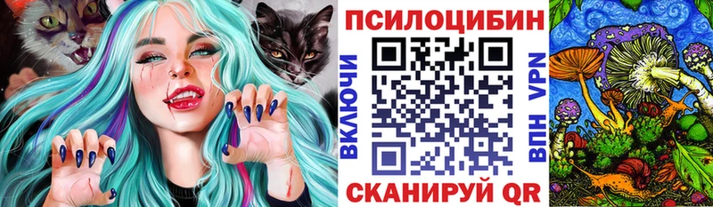 наркота  Адыгейск  Псилоцибиновые грибы ЛСД 