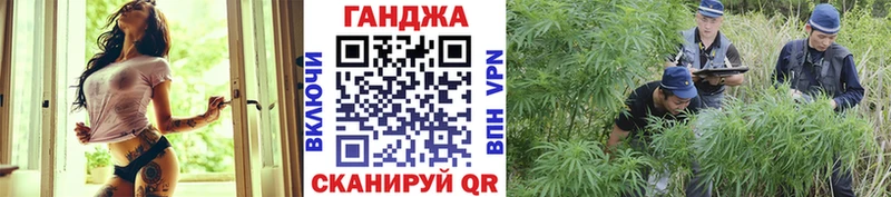 Канабис OG Kush Адыгейск